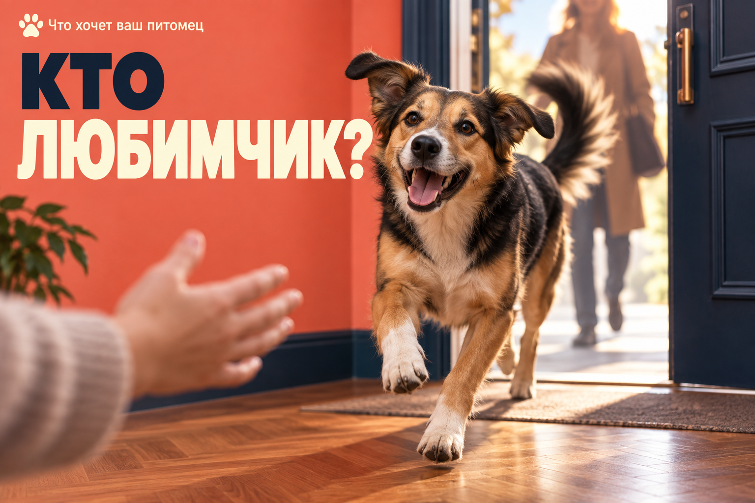 Почему собака встречает одного члена семьи громче остальных и значит ли это, что любит больше